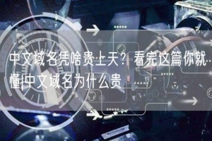 中文域名凭啥贵上天？看完这篇你就懂|中文域名为什么贵